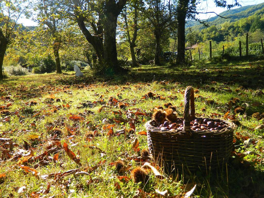 Agriturismo Casa Turchetti Comano  Dış mekan fotoğraf